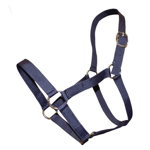 Stable Halter Pack   Full - 5 Pack Halters Assorted